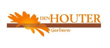 Kwekerij Den Houter Gerbera