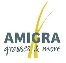 AMIGRA Grasses & more