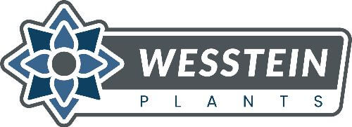Wesstein Plants